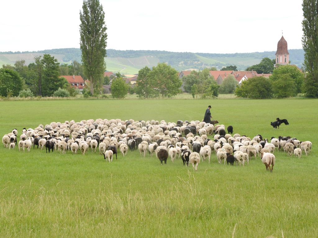 Ferienwohnungen Schuh Ipsheim Exteriér fotografie